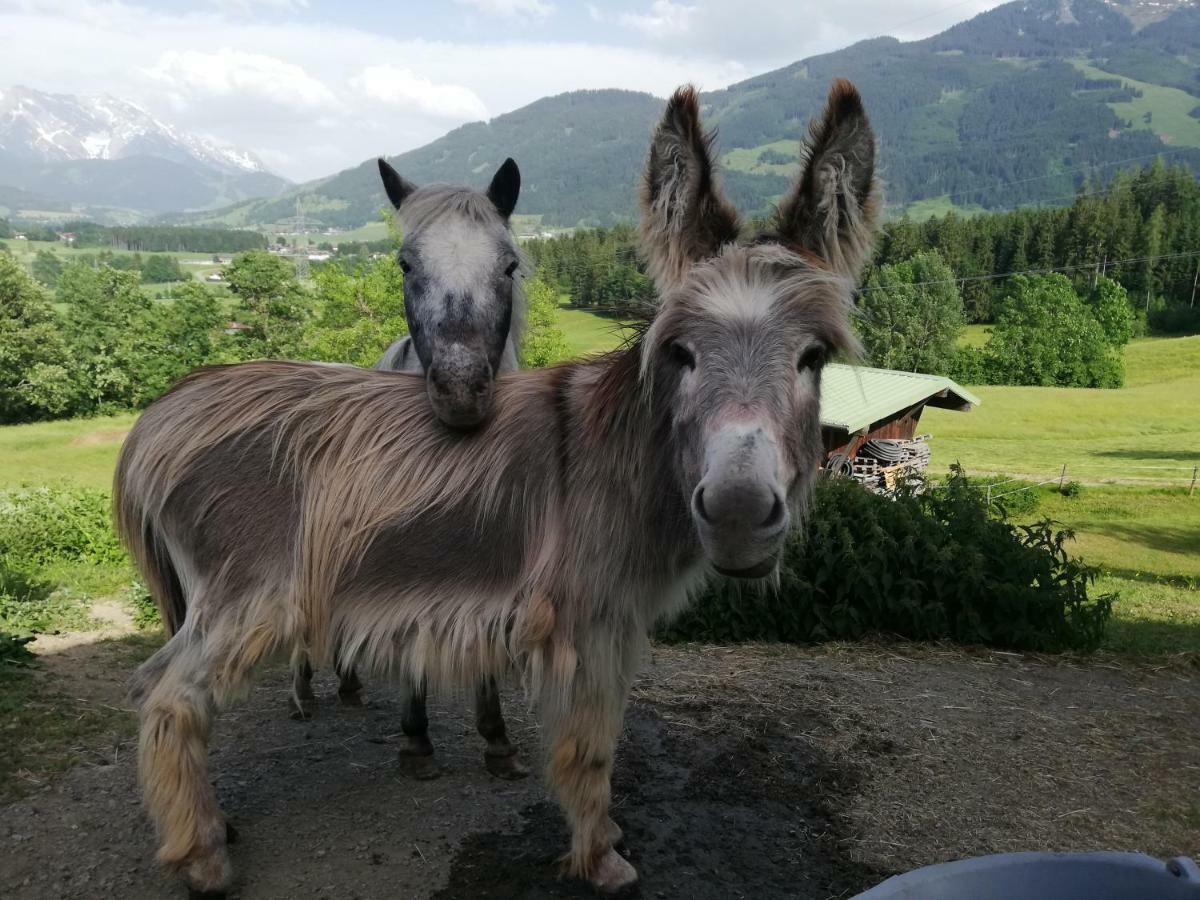 Oberstockinghof Hotel Saalfelden Екстериор снимка