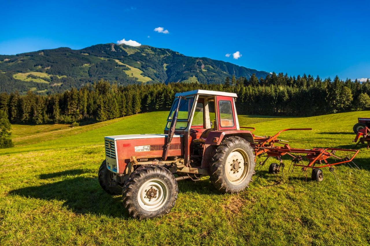 Oberstockinghof Hotel Saalfelden Екстериор снимка